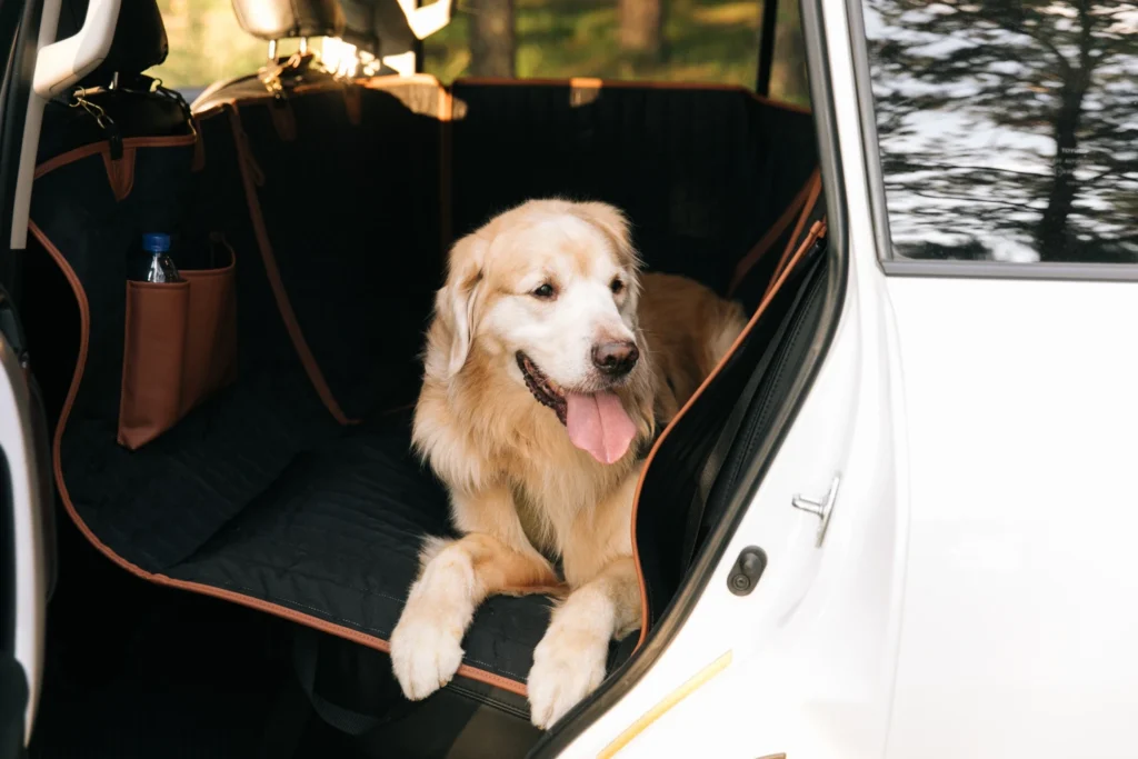Toyota RAV4 dog seat cover